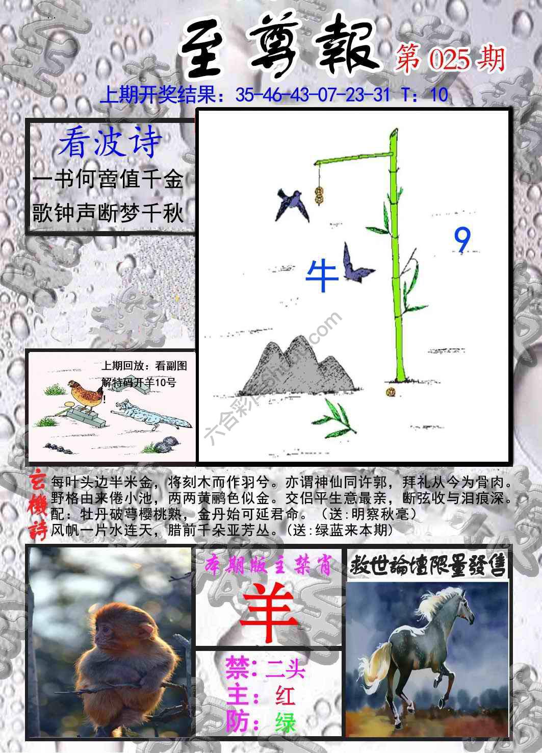 至尊报