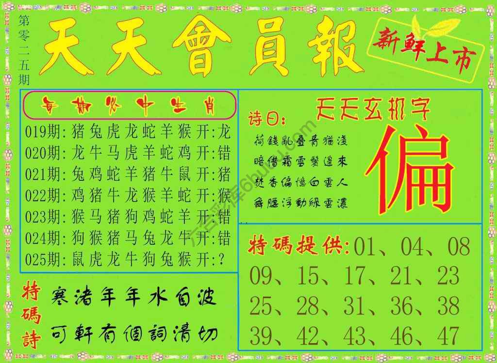 天天会员报