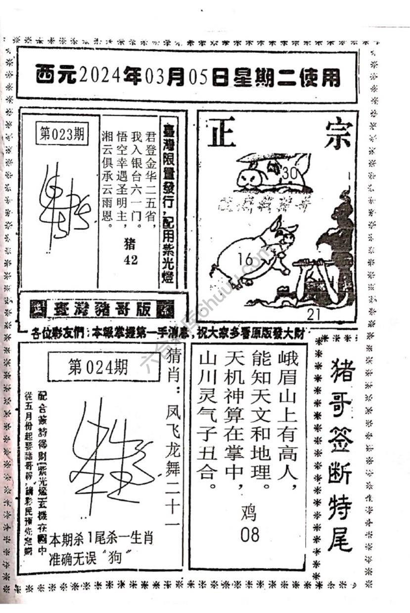 猪哥签断特尾