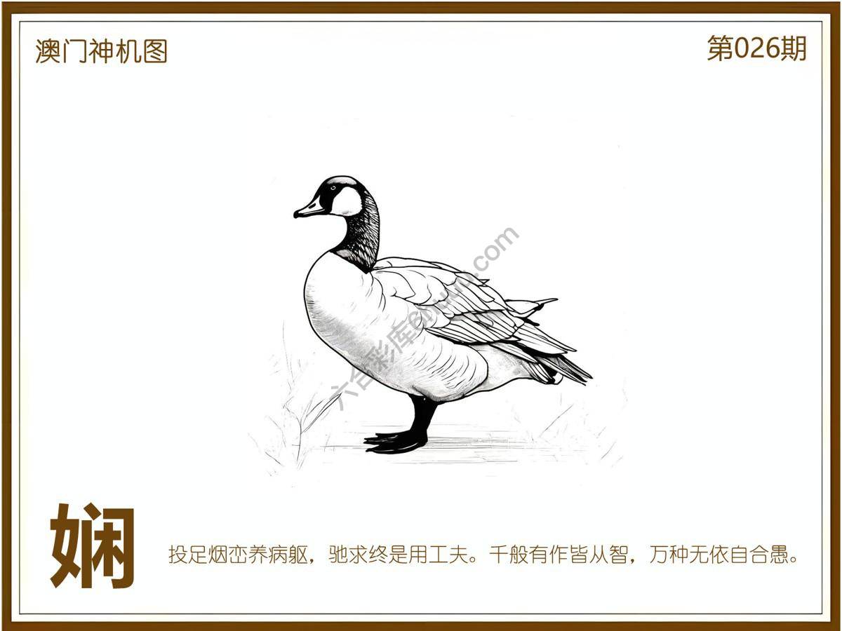 澳门神机图