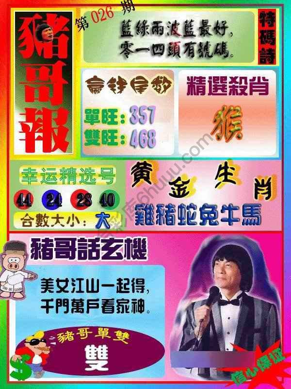 猪哥报