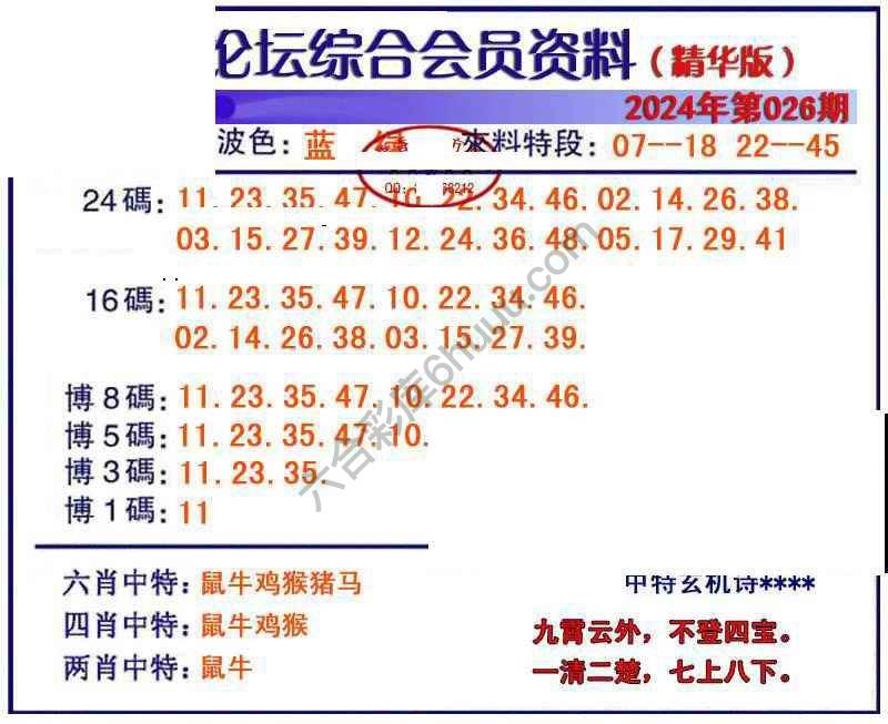 综合会员资料