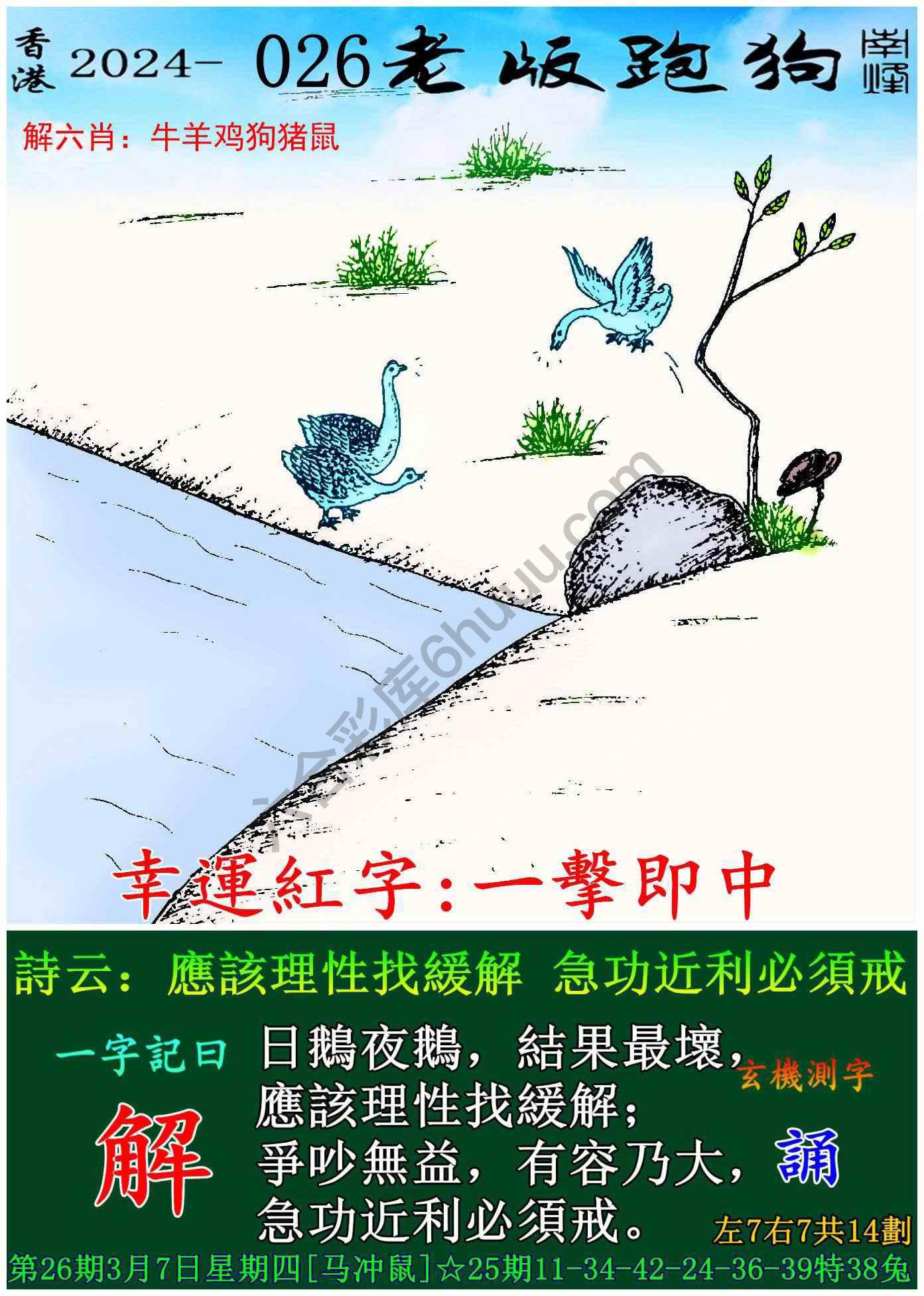 老版跑狗图