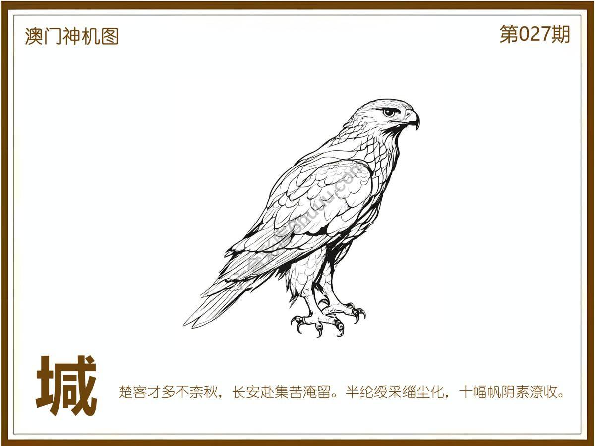 澳门神机图