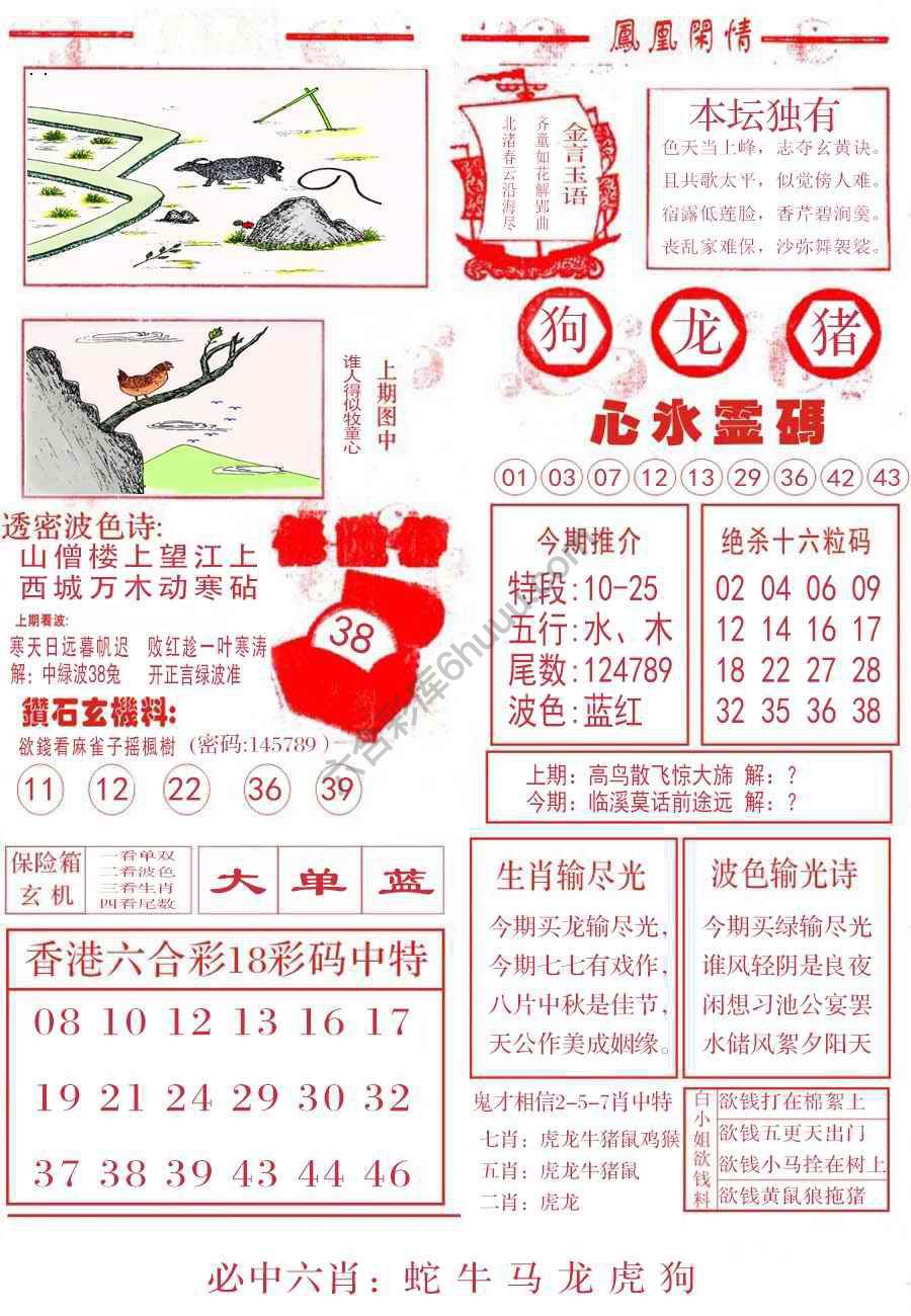 凤凰闲情