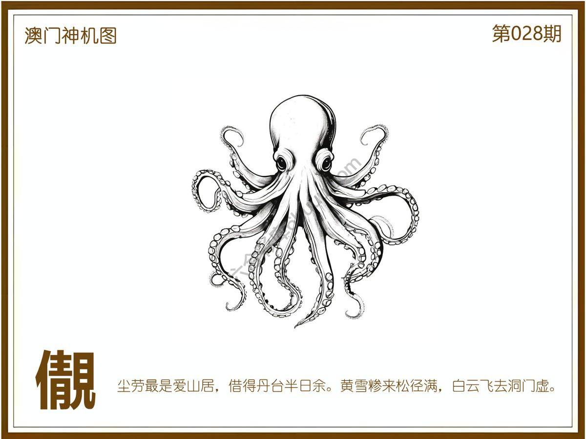 澳门神机图