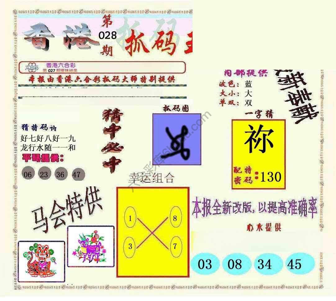 新抓码王