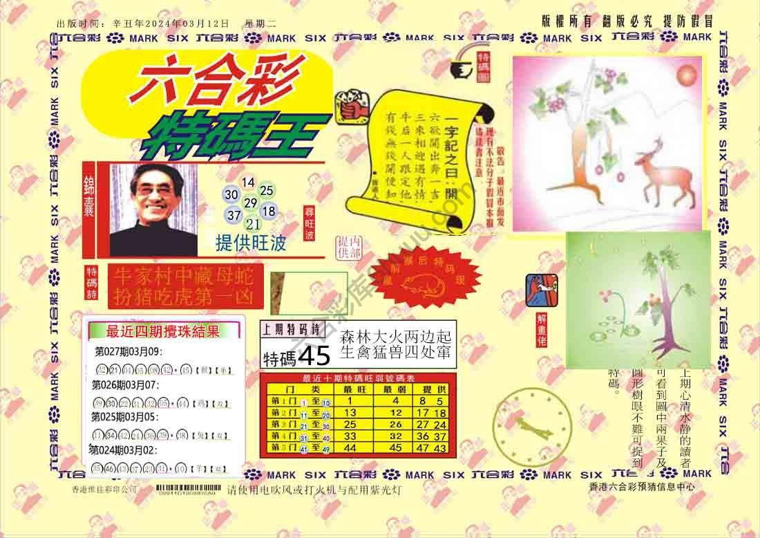 特码王