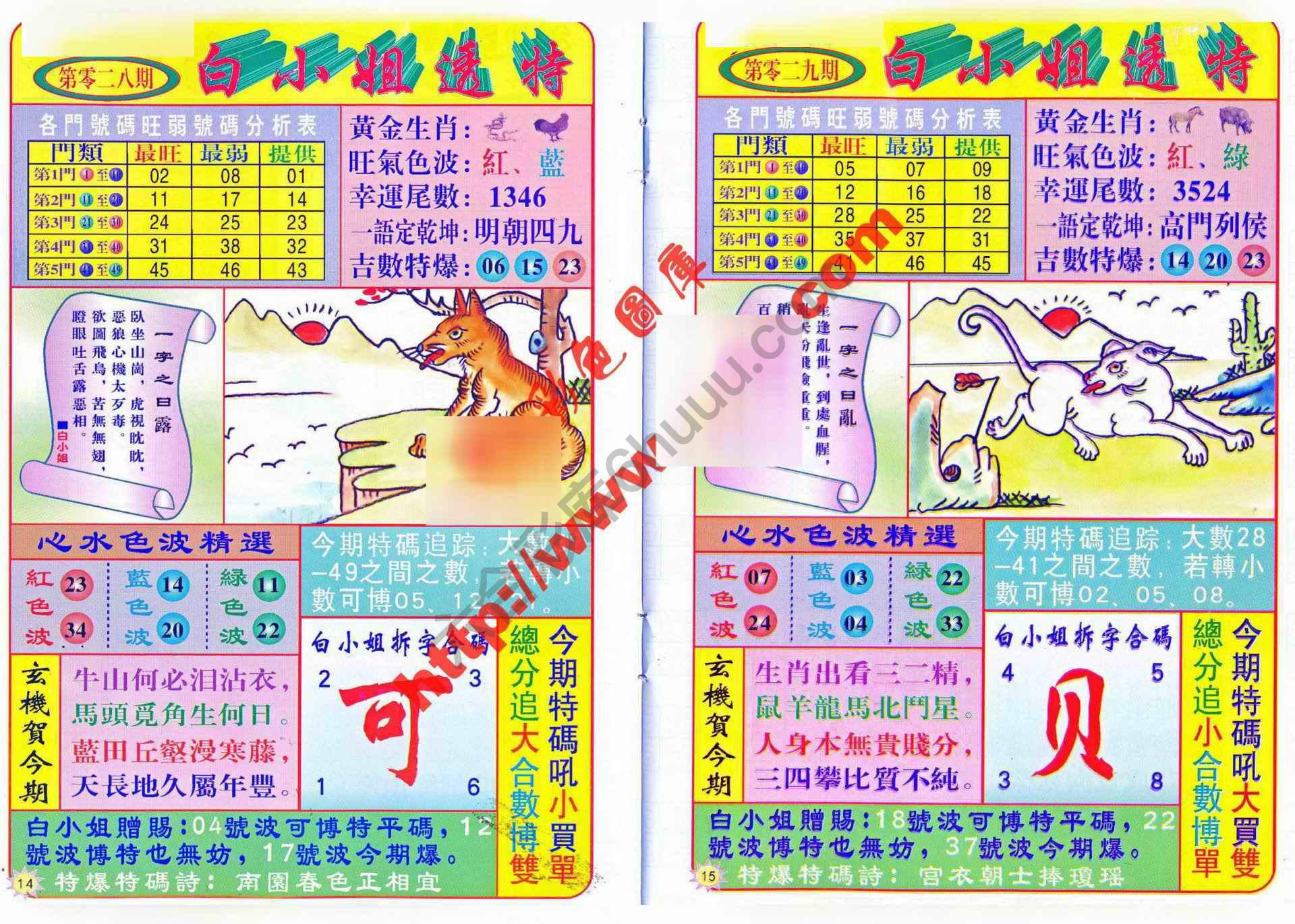 白小姐透特