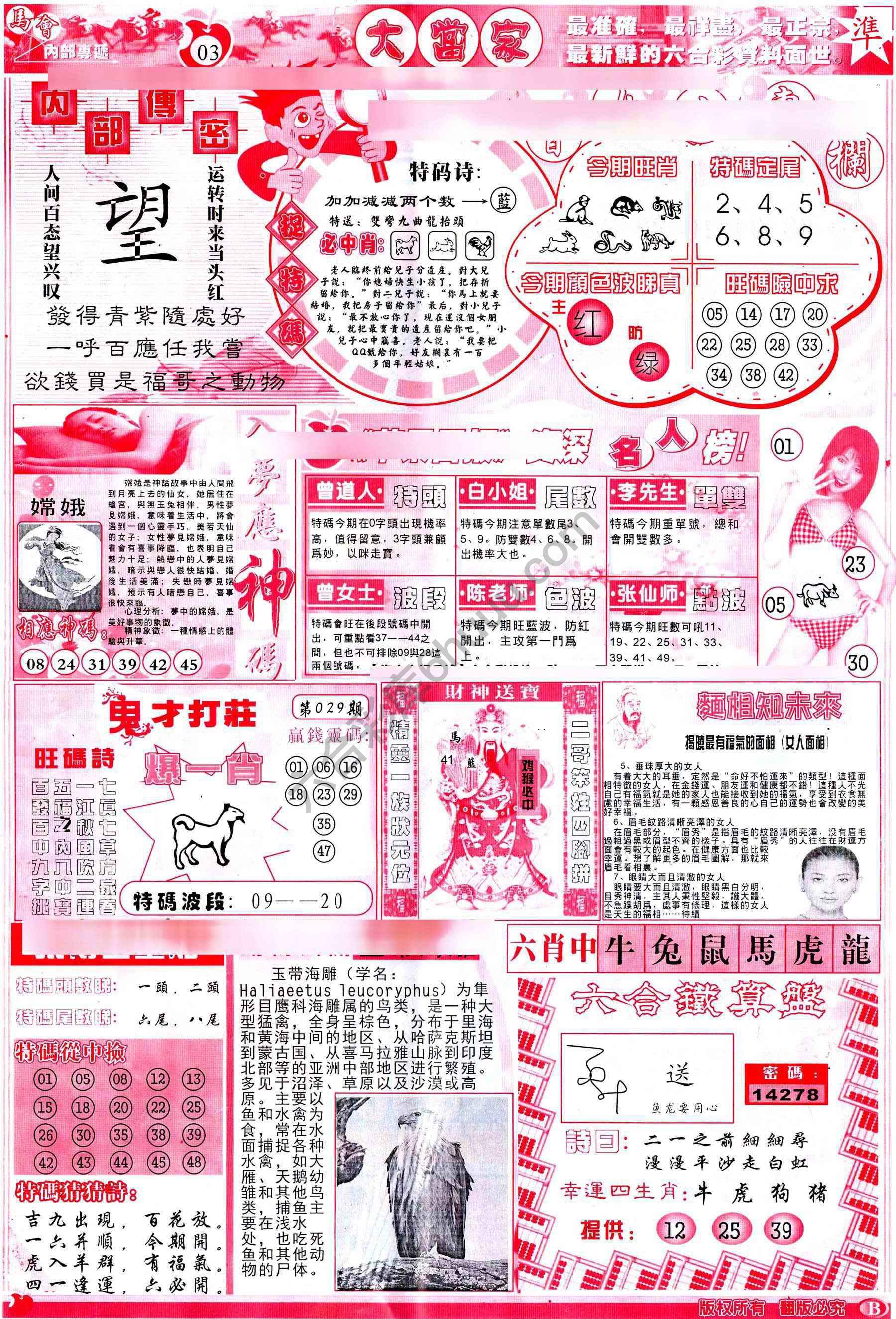 大当家