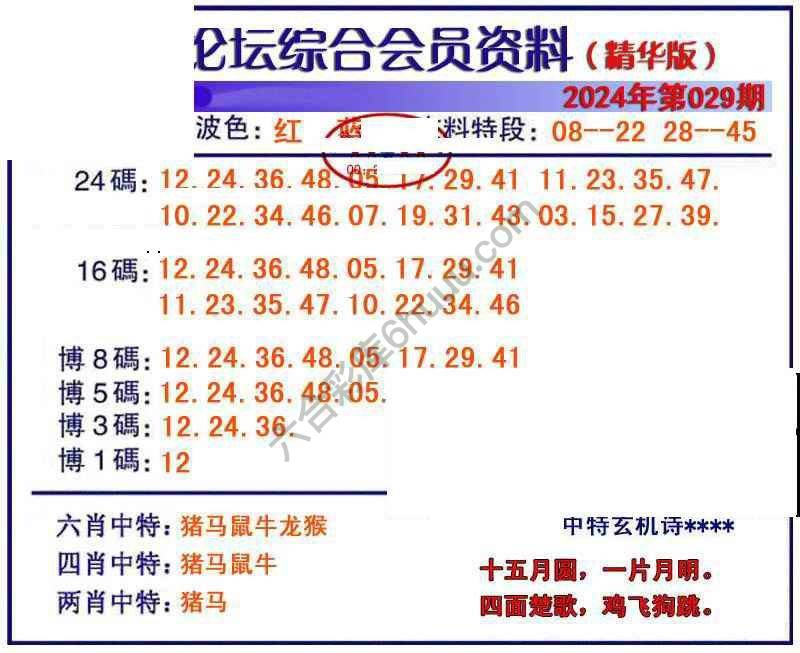 综合会员资料