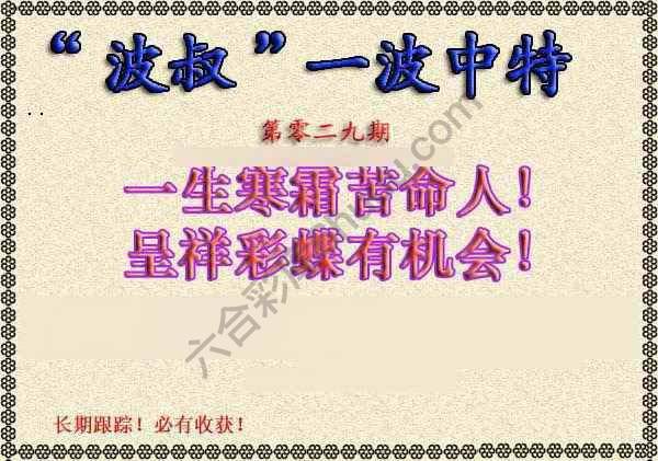 波叔一波中特
