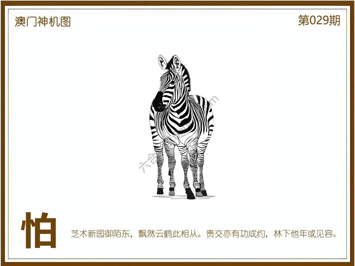 澳门神机图