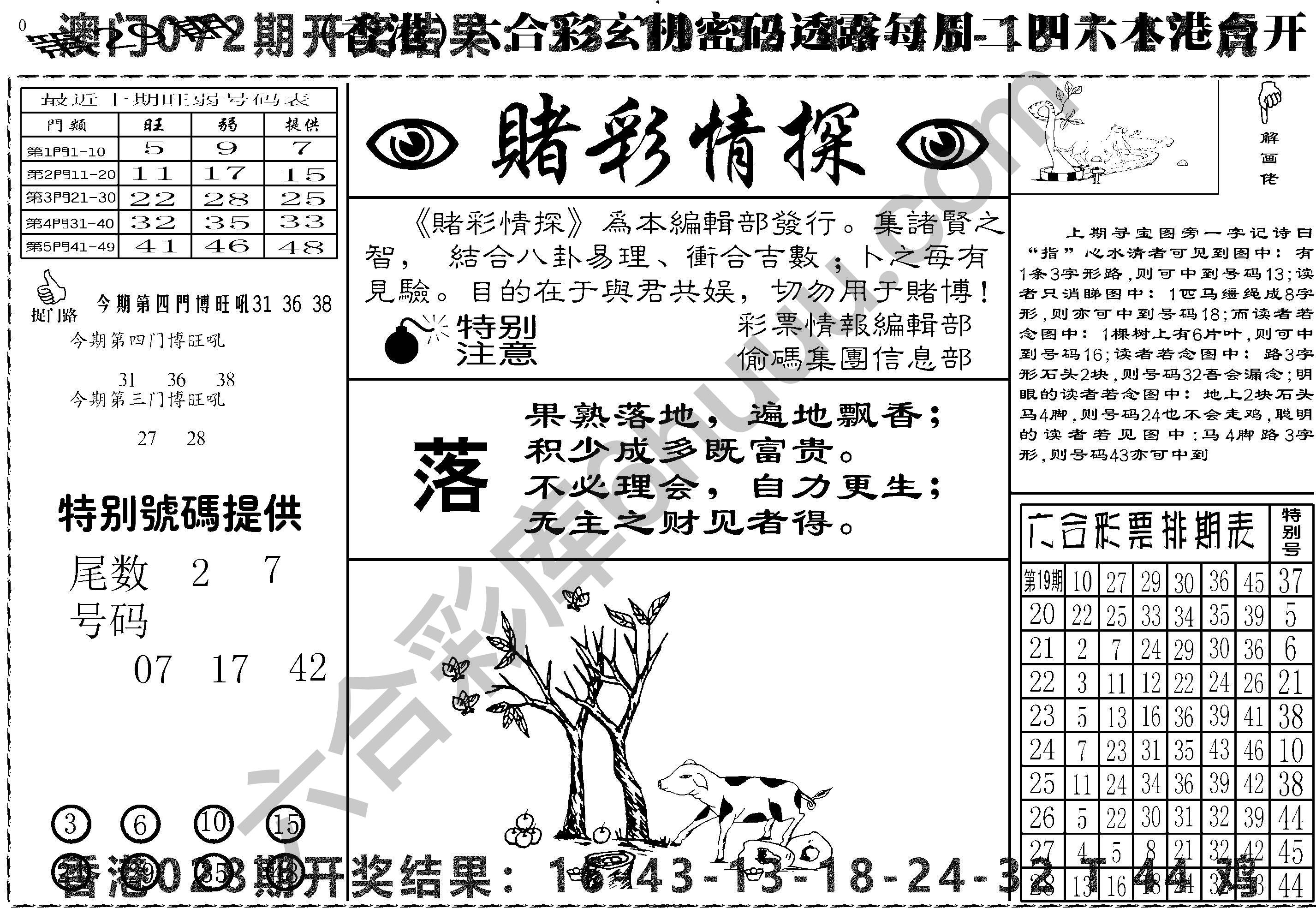 赌彩情探