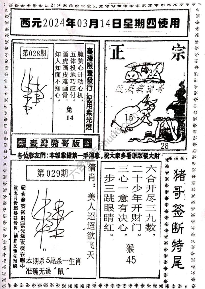 猪哥签断特尾