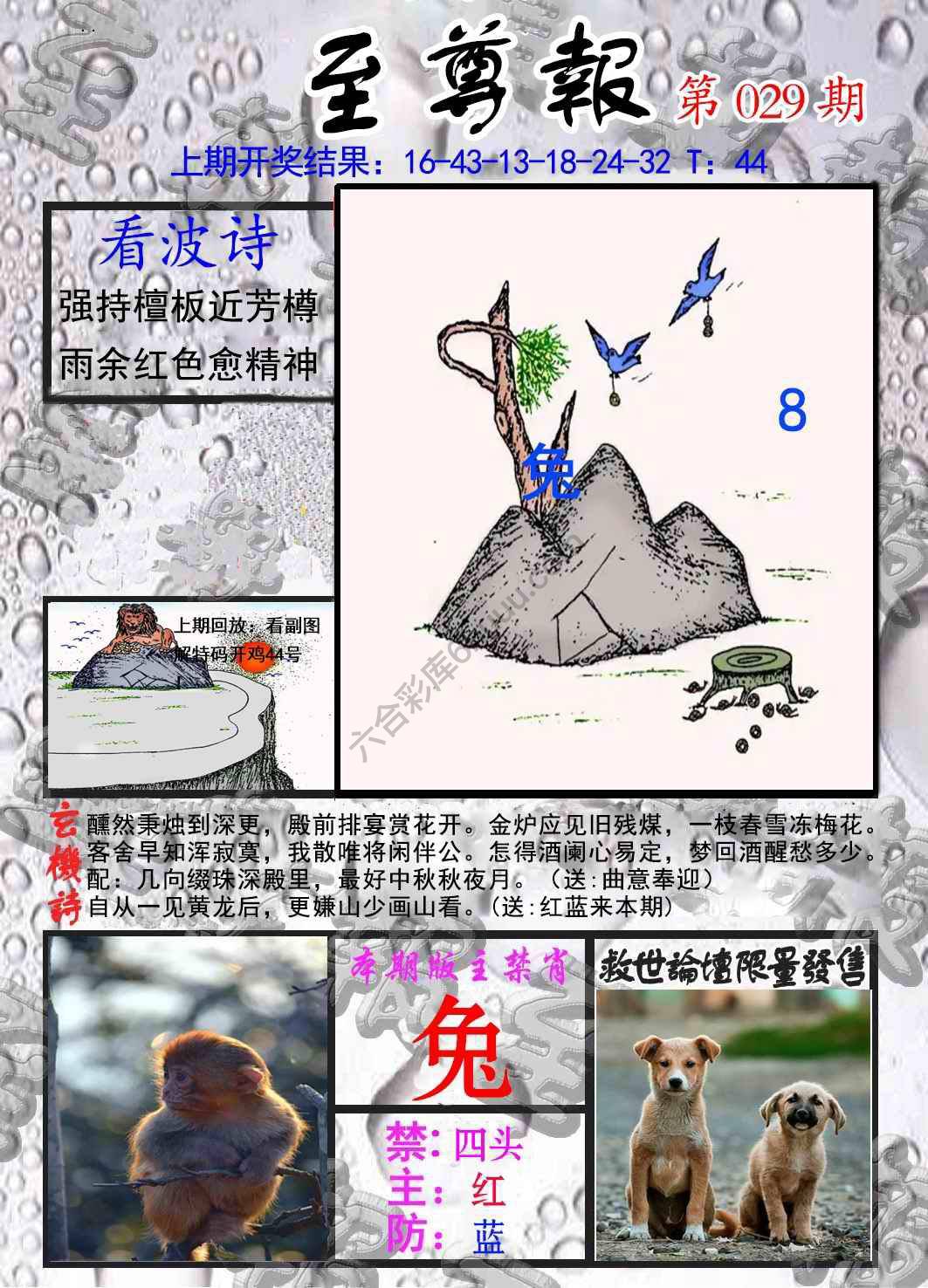 至尊报