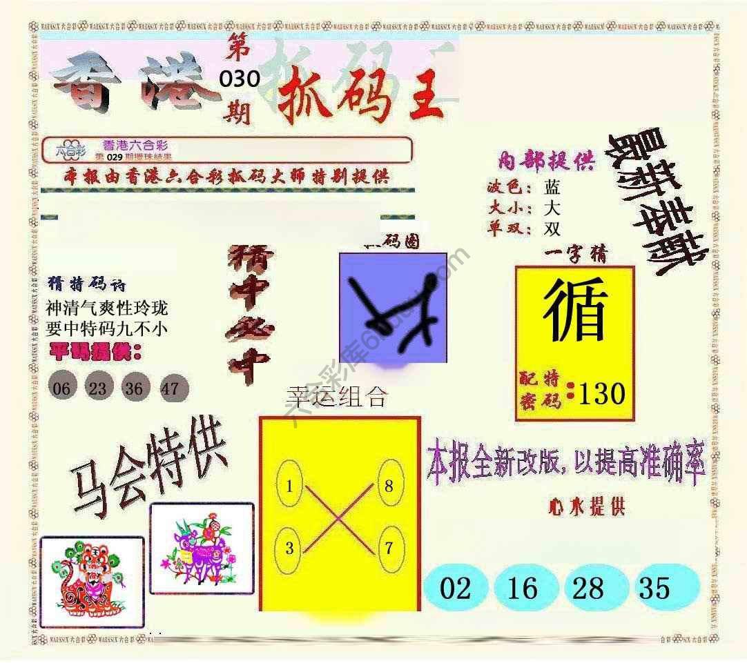 新抓码王