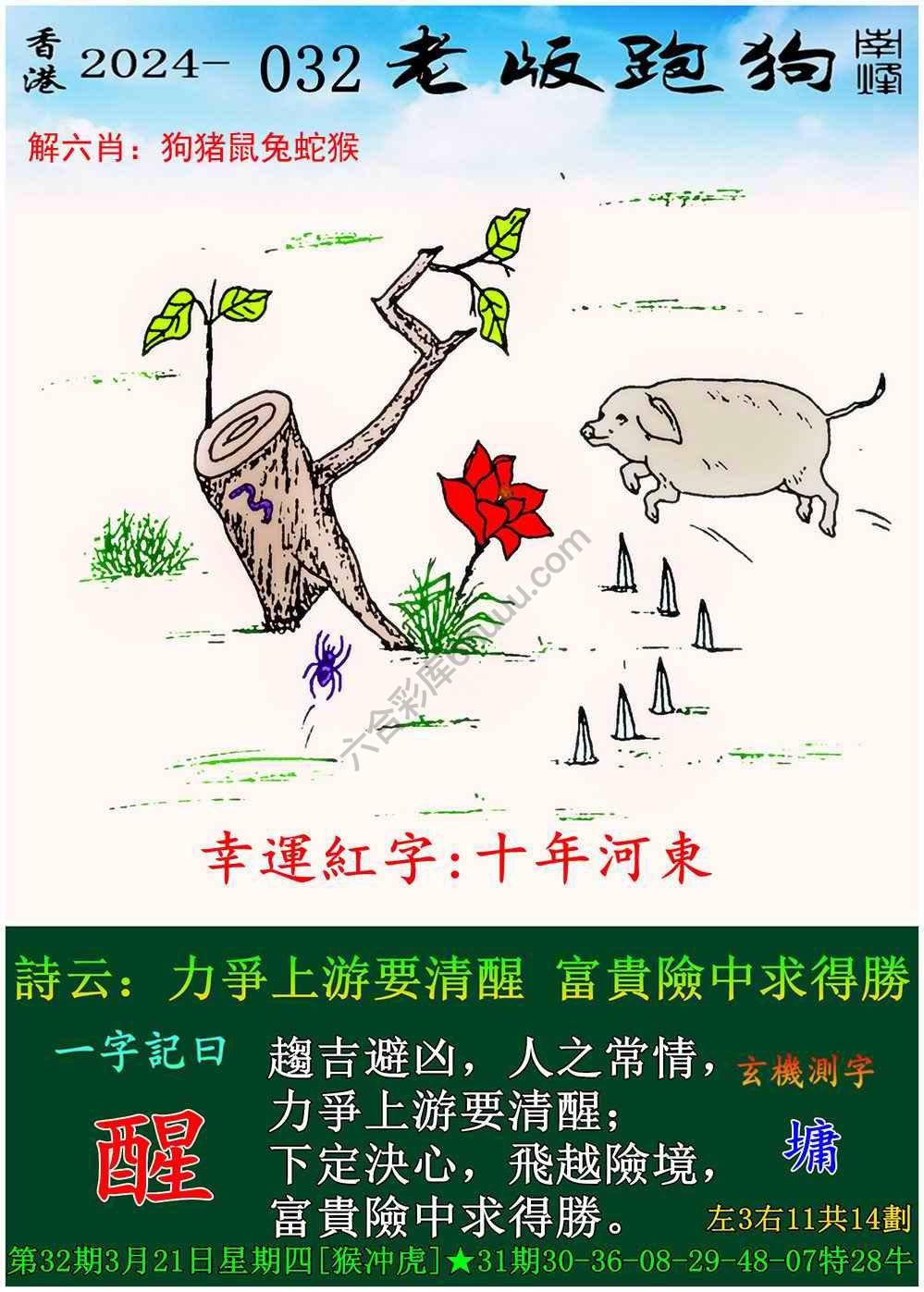老版跑狗图