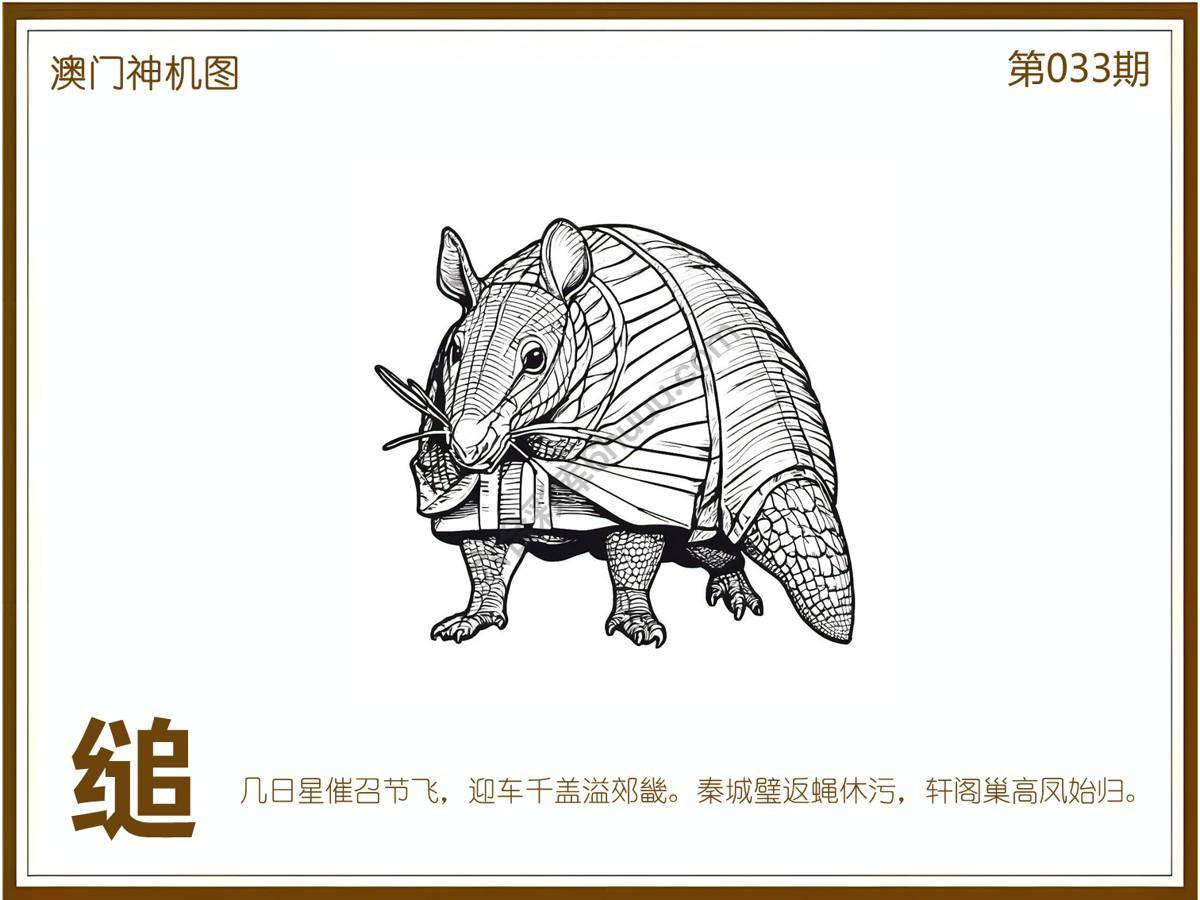 澳门神机图