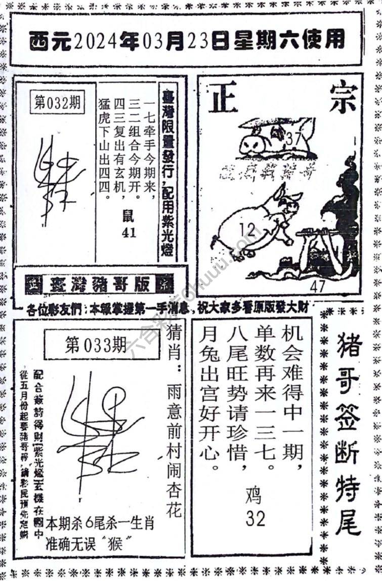 猪哥签断特尾