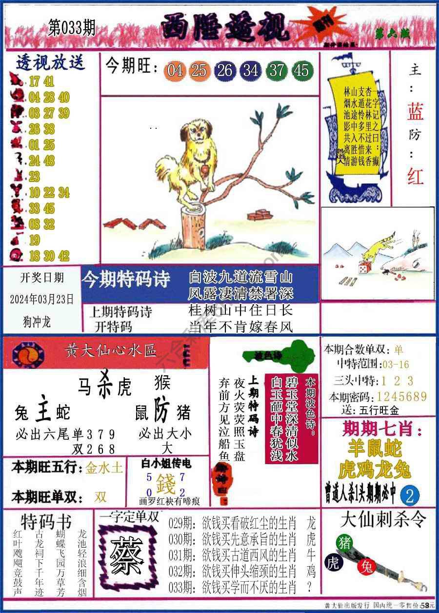 西陲透视（正版）