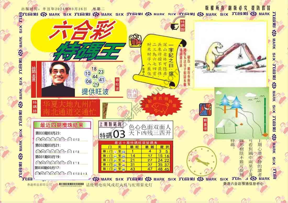 特码王