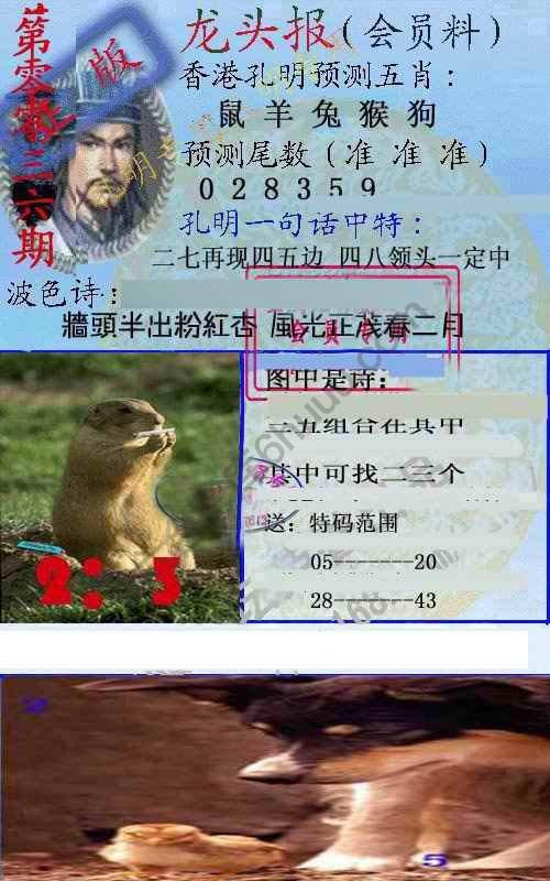 龙头报