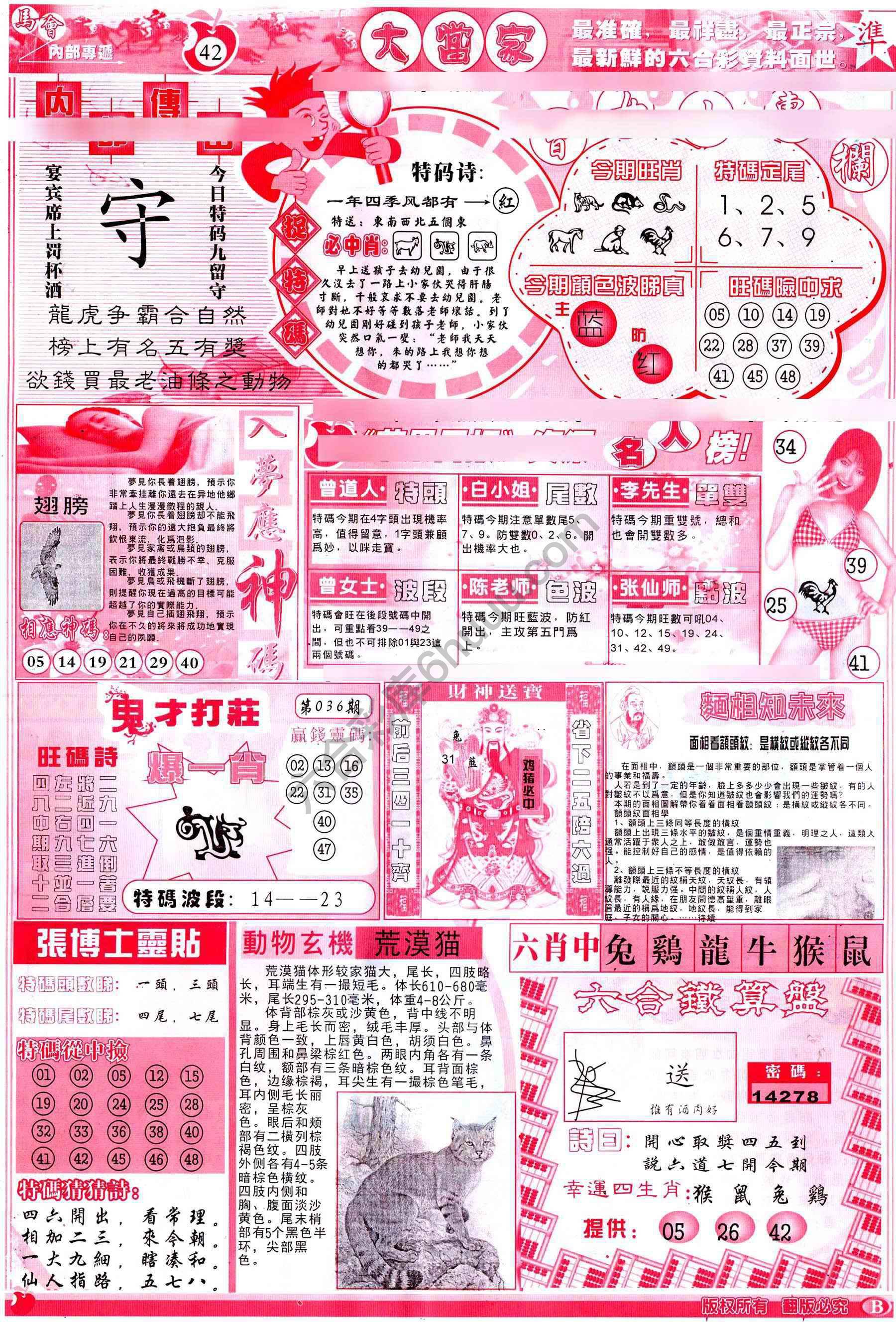 大当家