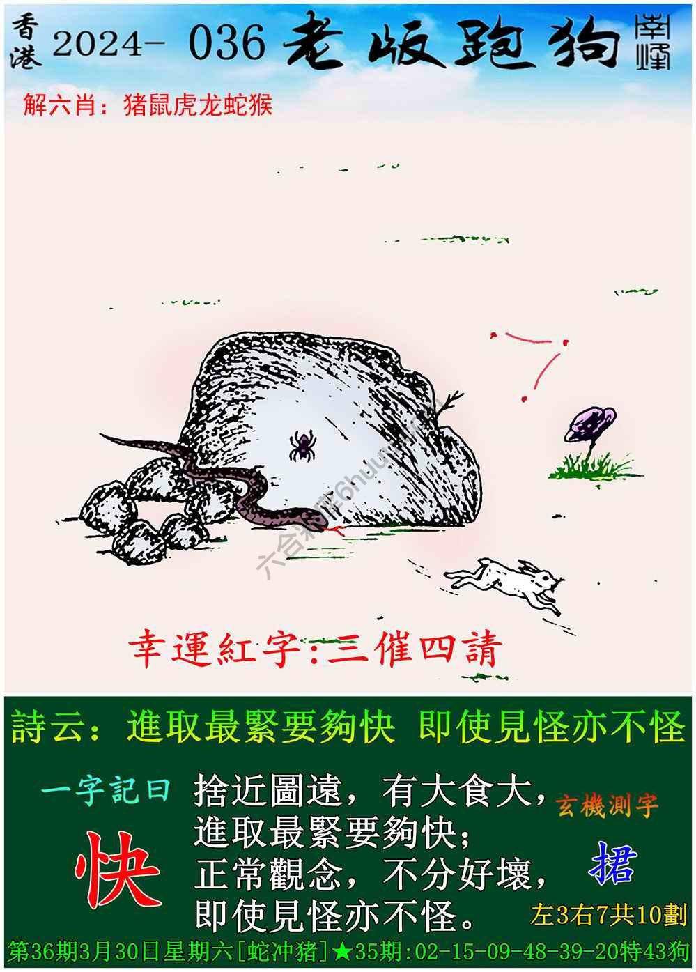 老版跑狗图