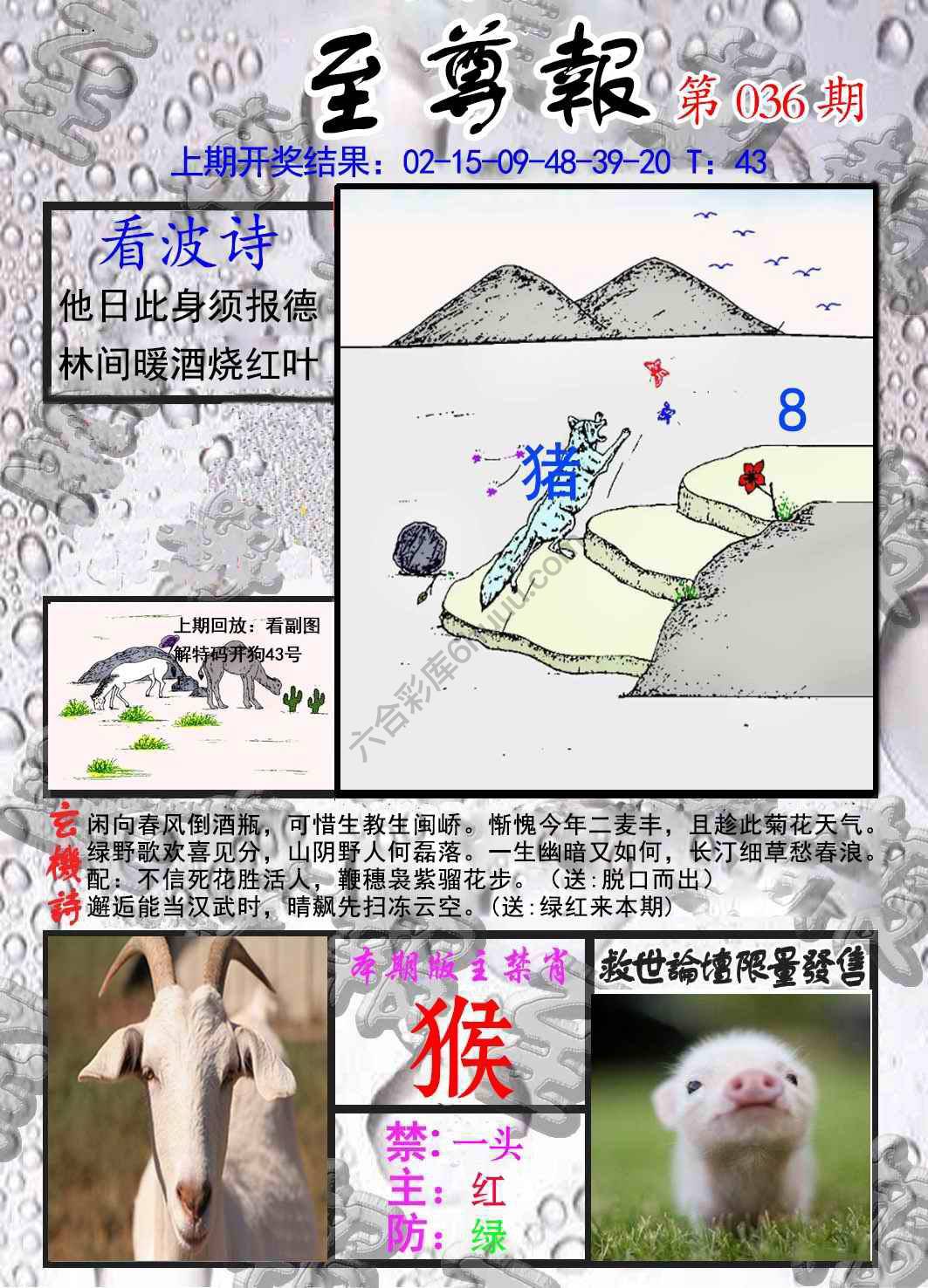 至尊报