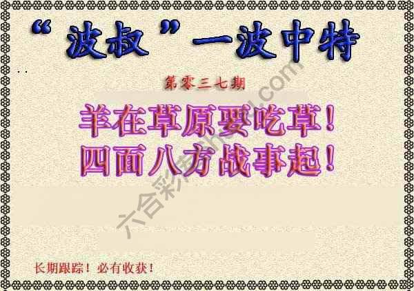 波叔一波中特