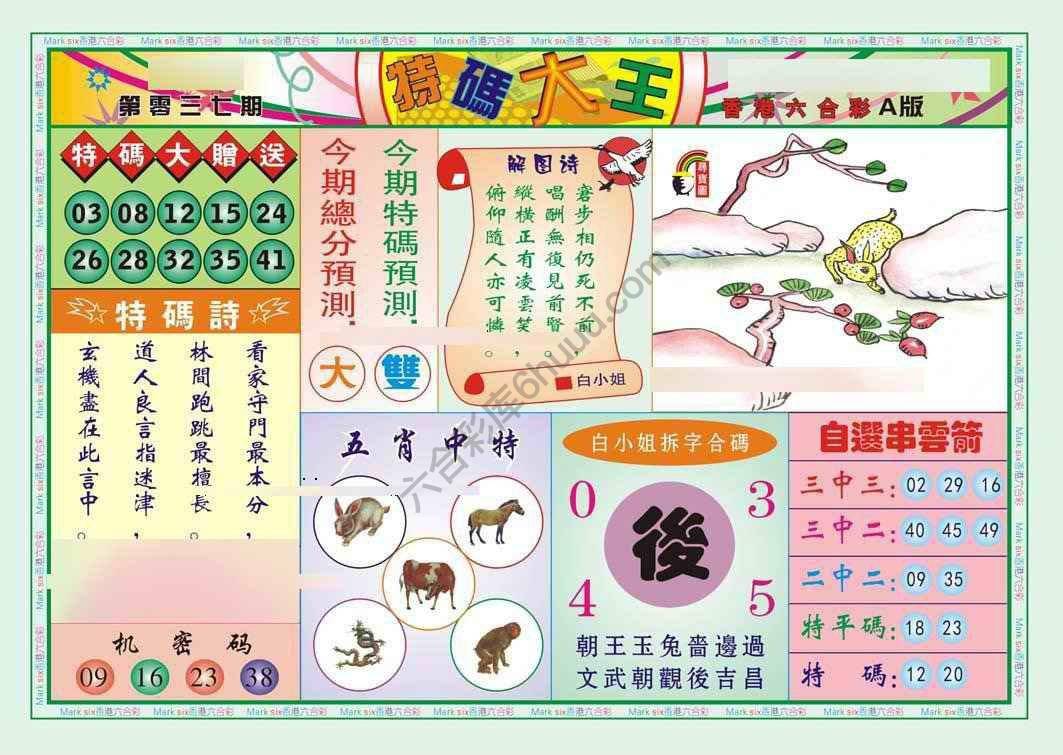 特码大王