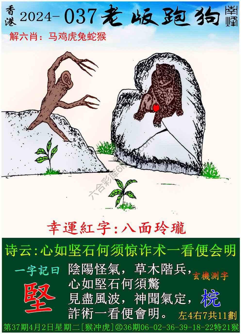 老版跑狗图