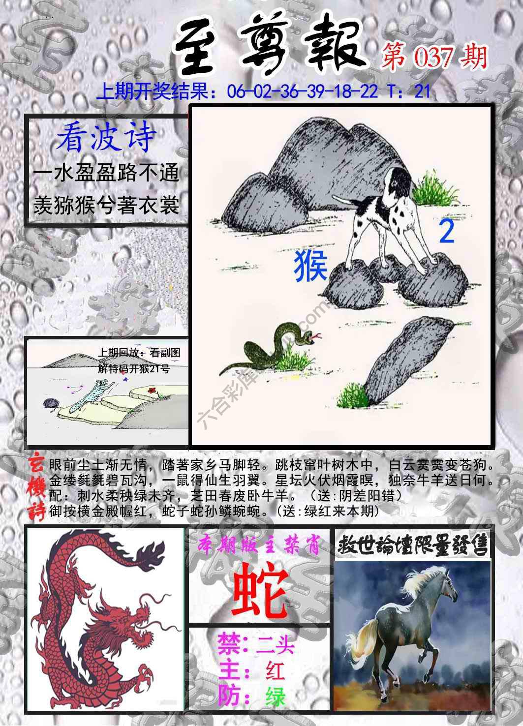 至尊报