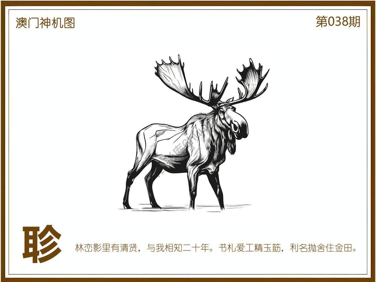 澳门神机图