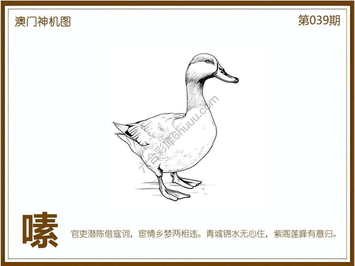 澳门神机图