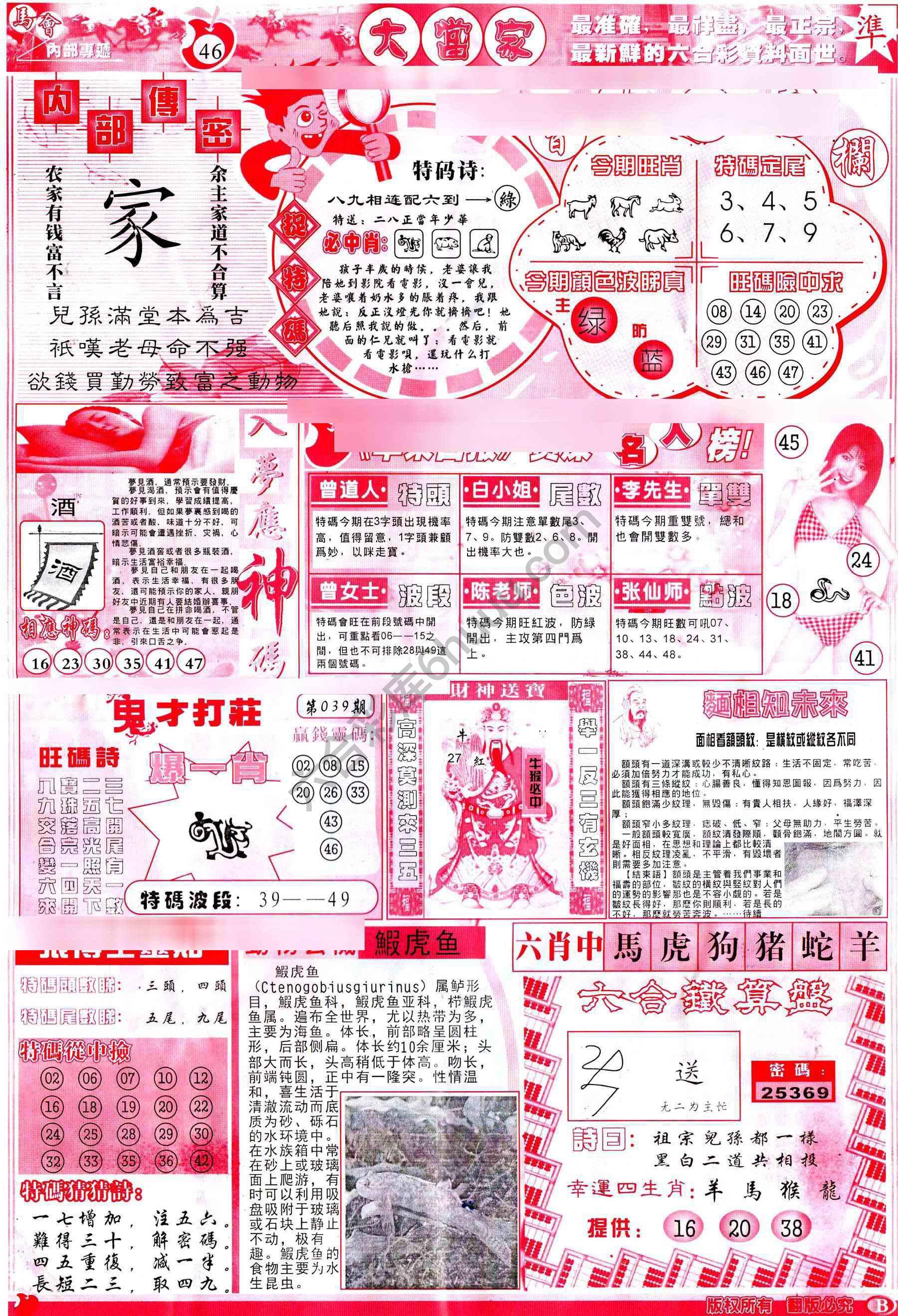 大当家
