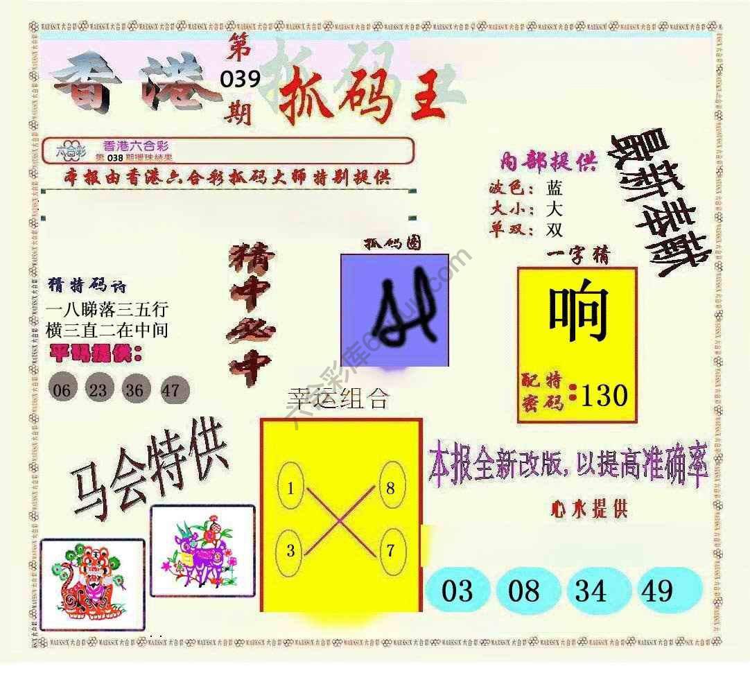 新抓码王