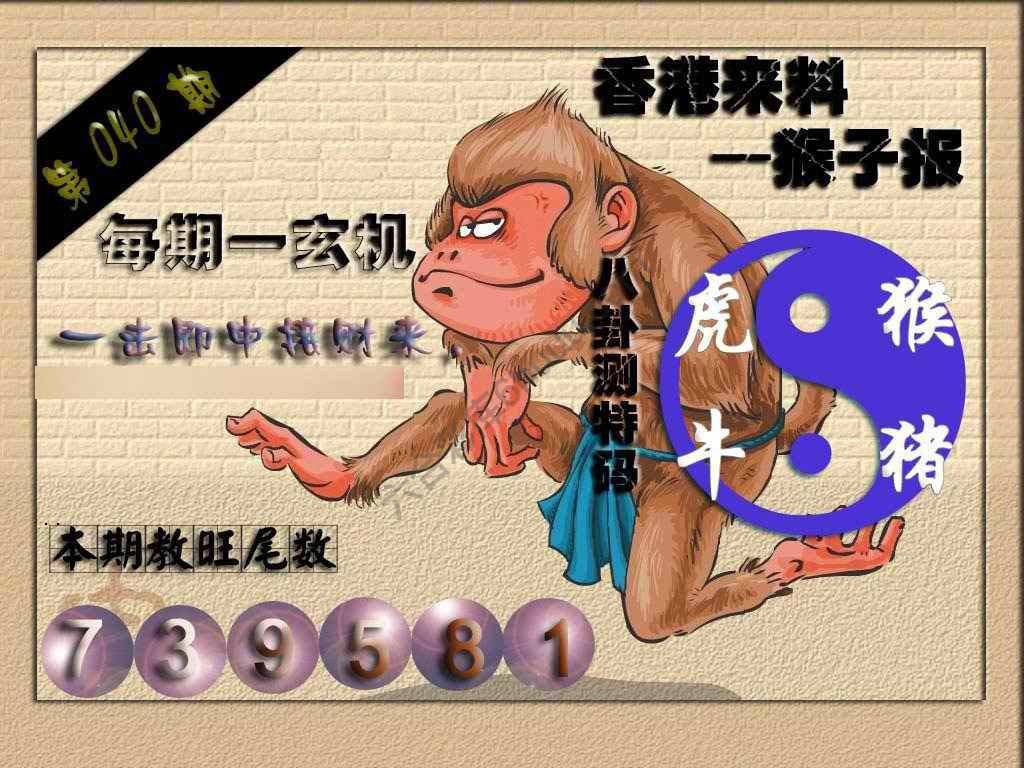 猴子报