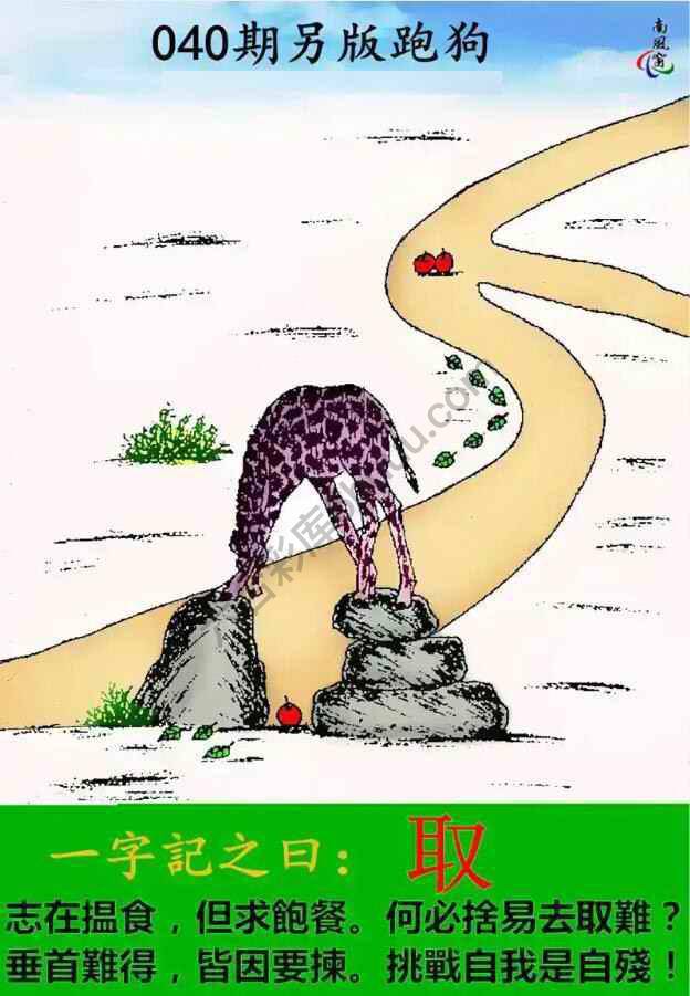 另版跑狗