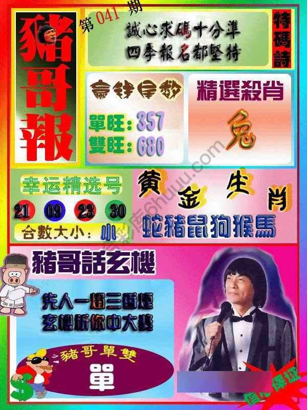 猪哥报