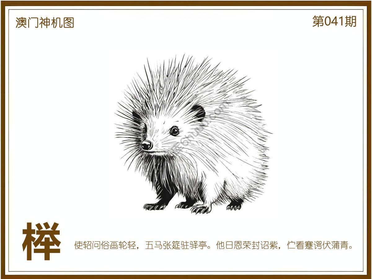 澳门神机图