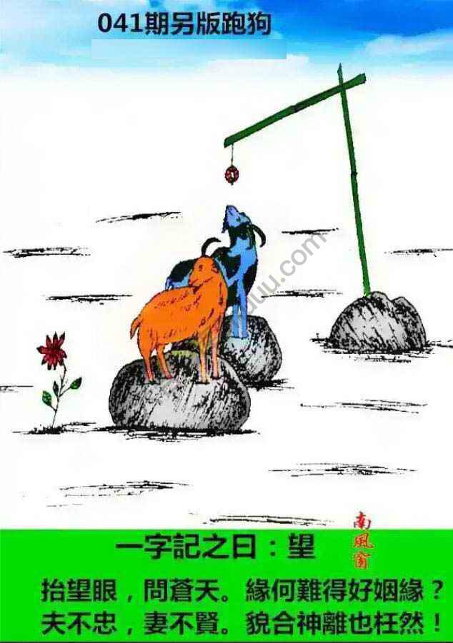 另版跑狗