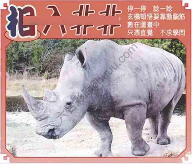 相入非非