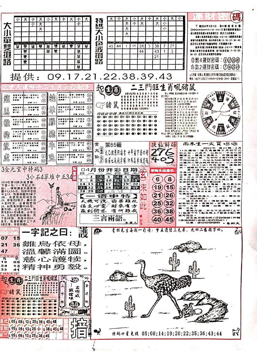 六合彩玄机