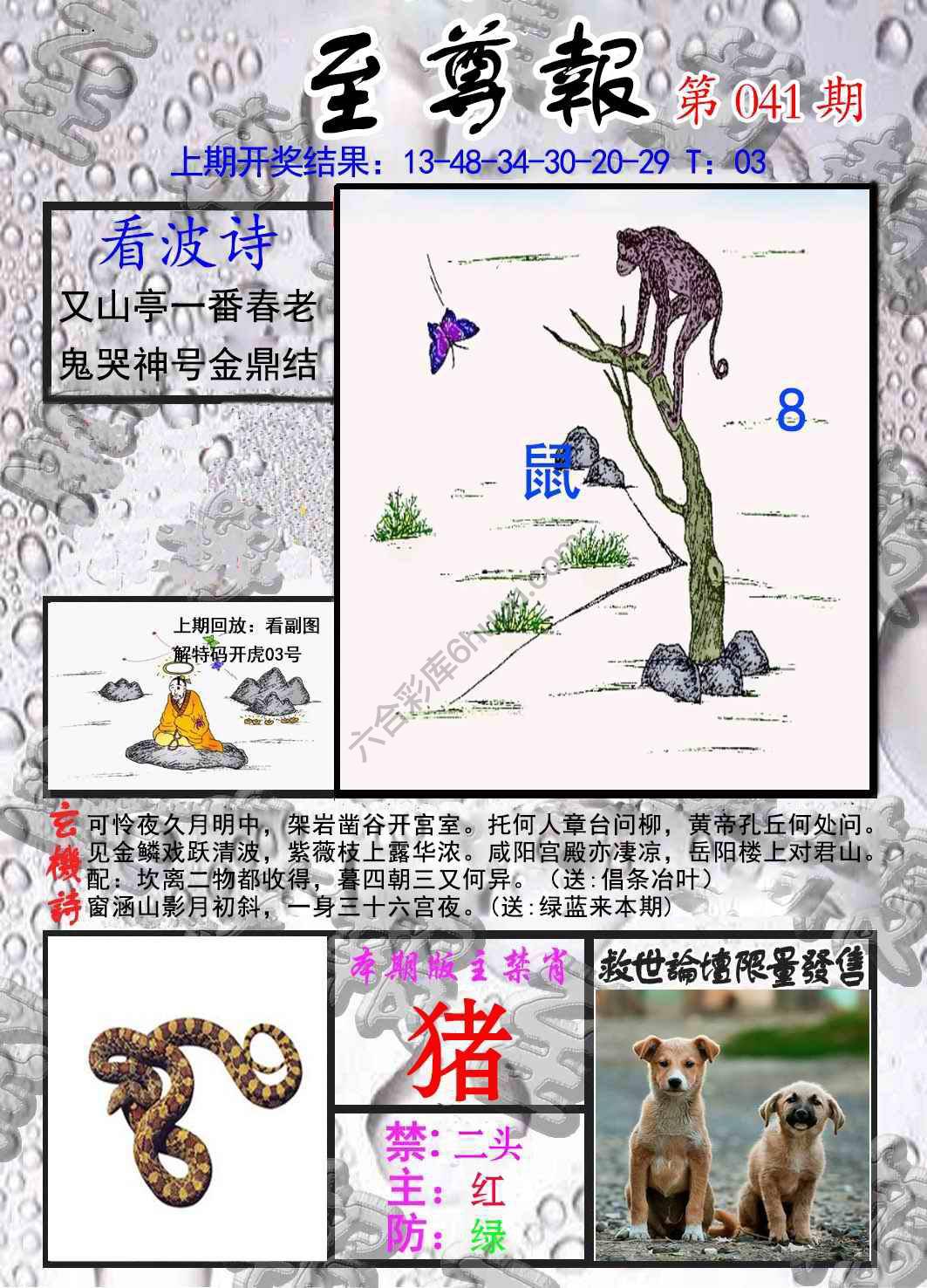 至尊报