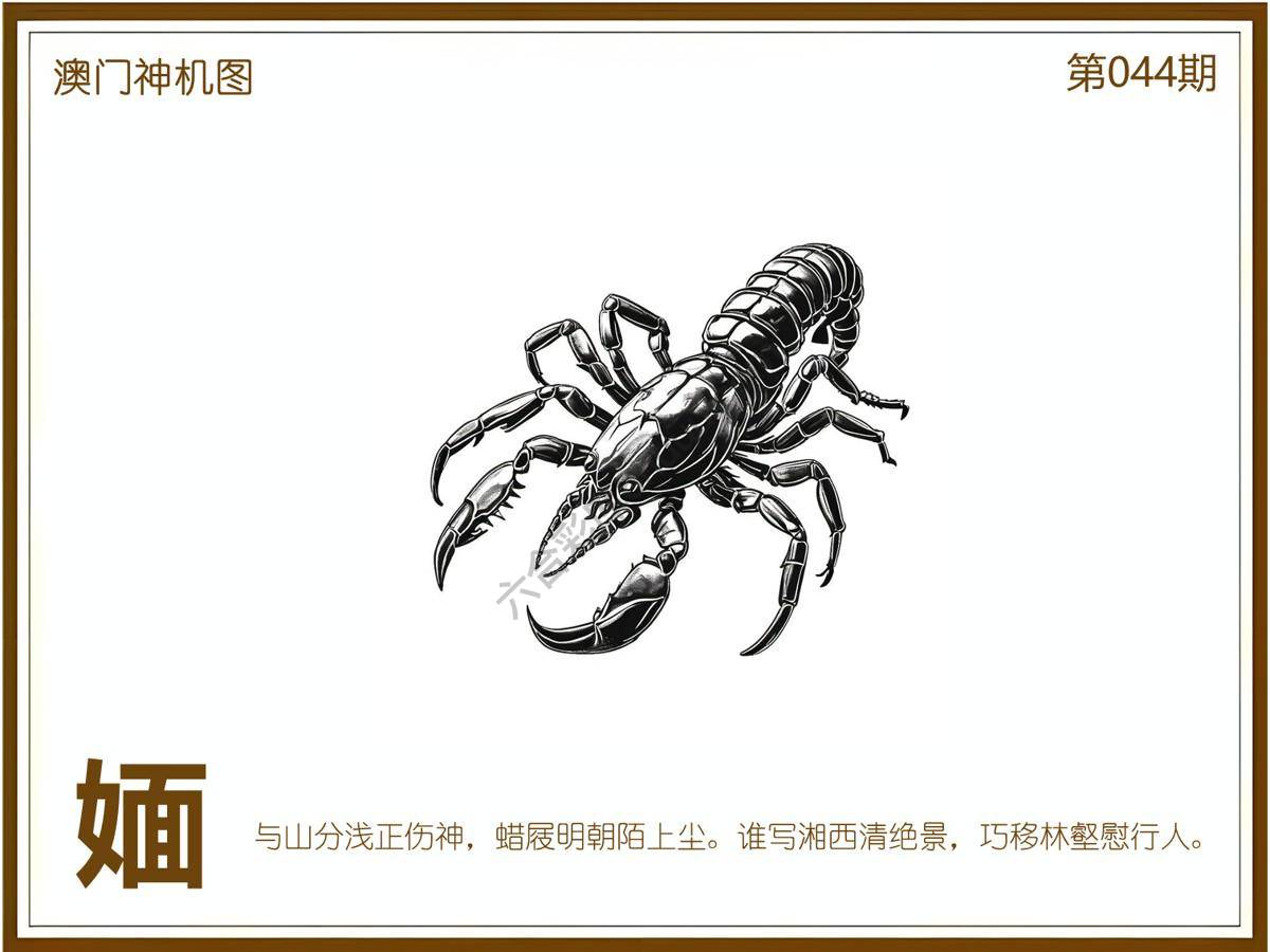 澳门神机图