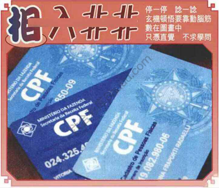 相入非非