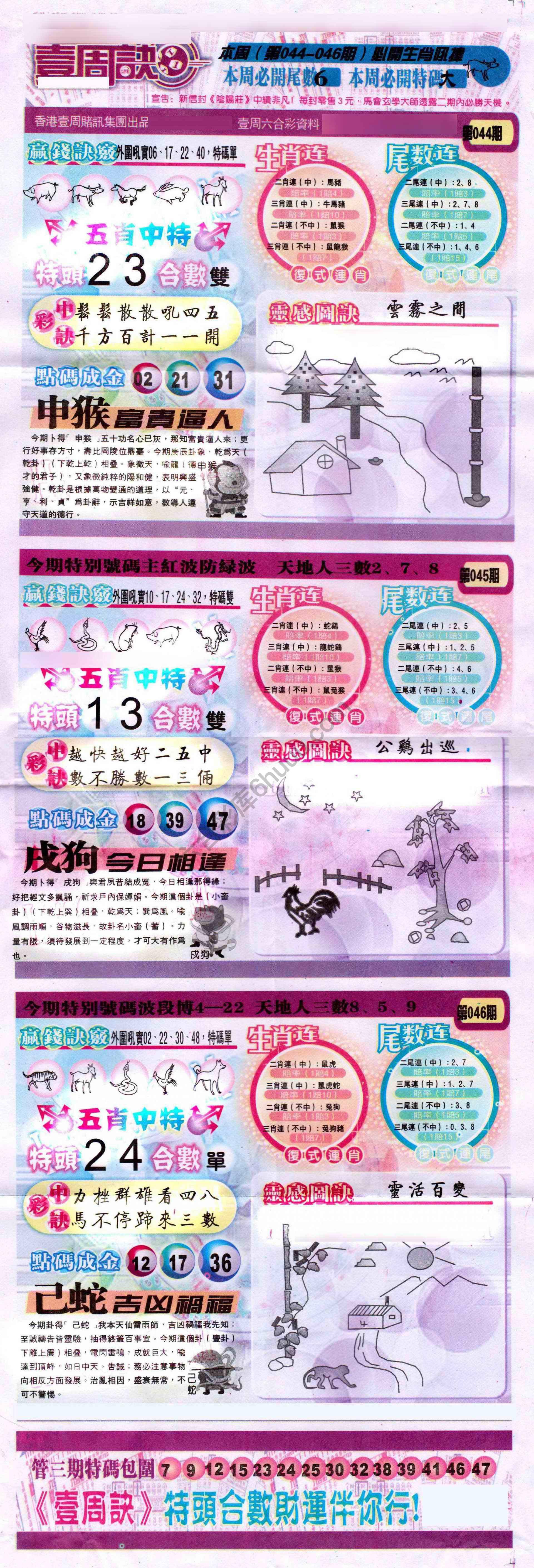 一周决