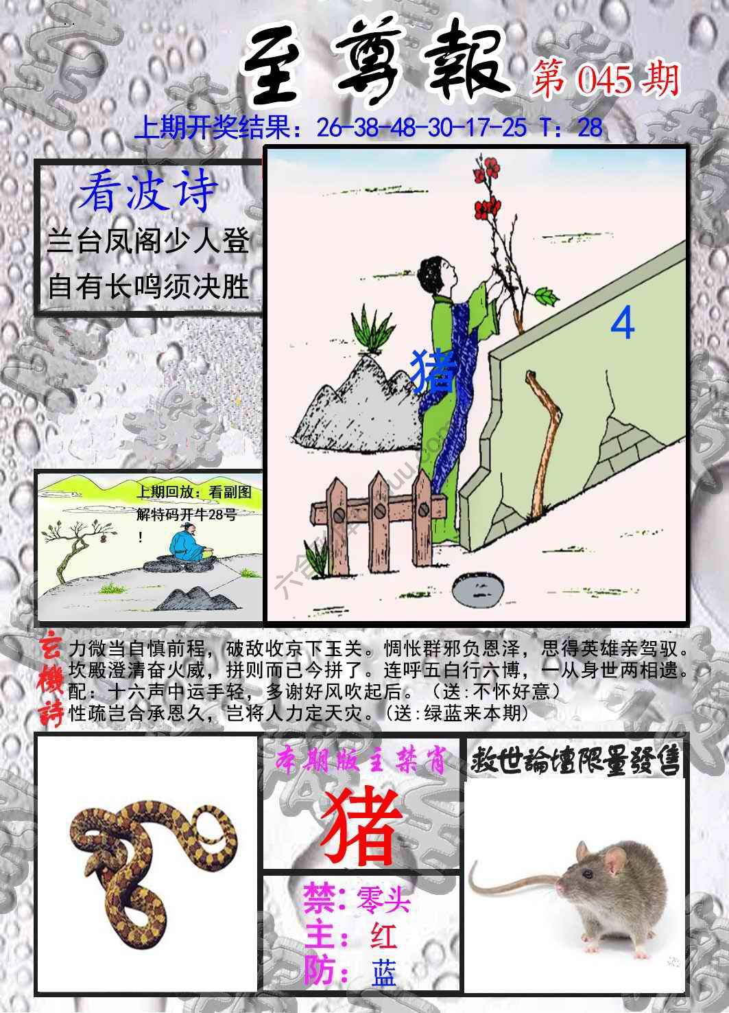 至尊报
